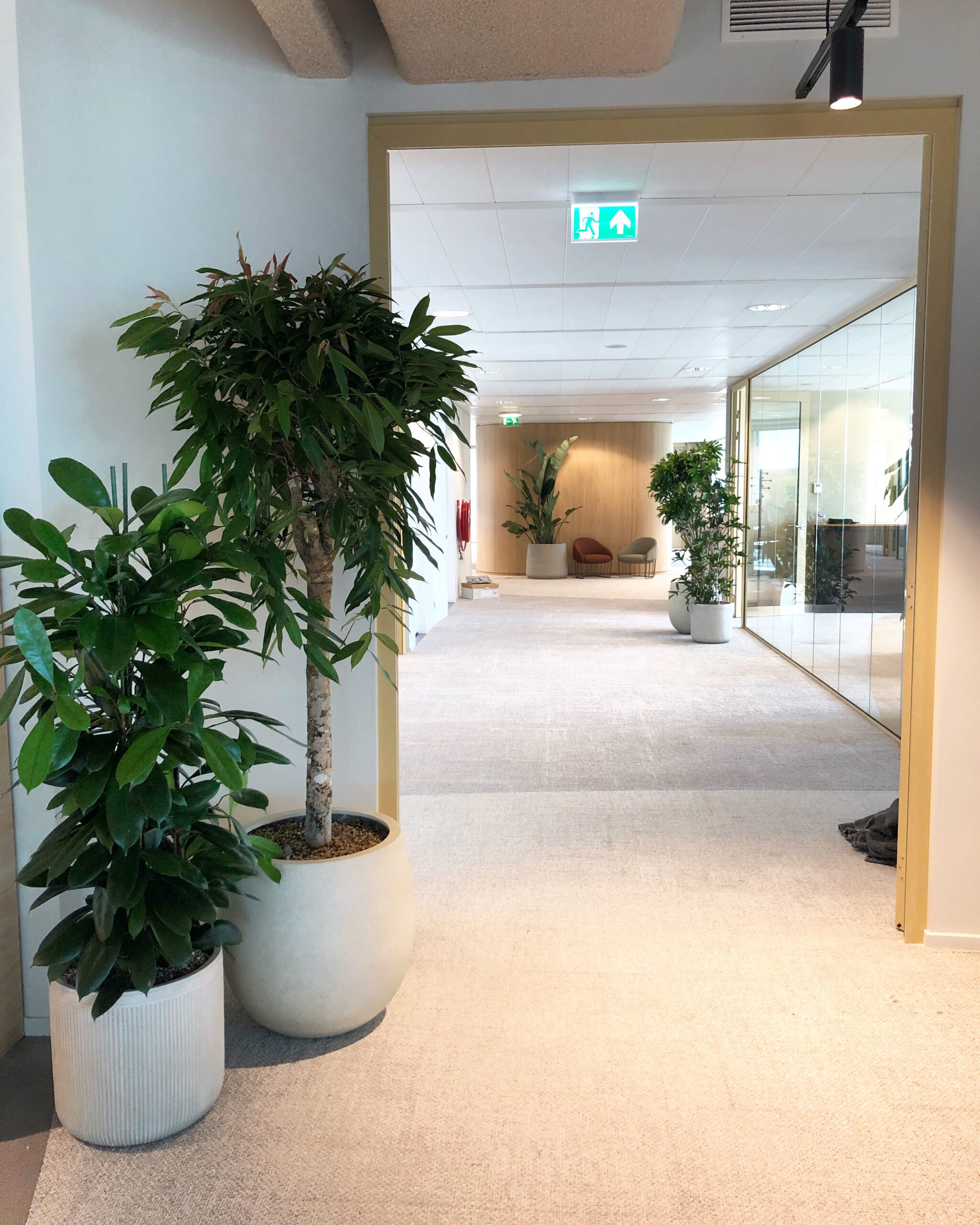 Moët Hennesy Amsterdam