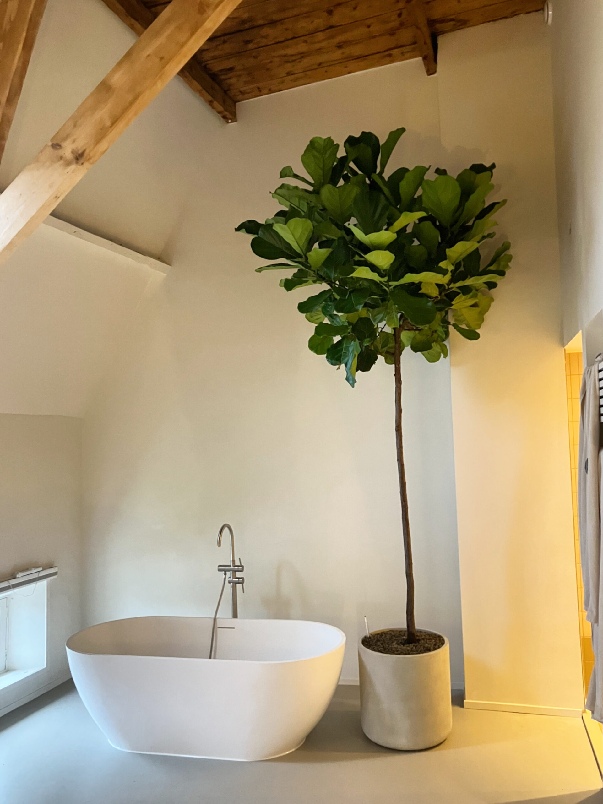 Fris groen voor de fam. Dekker